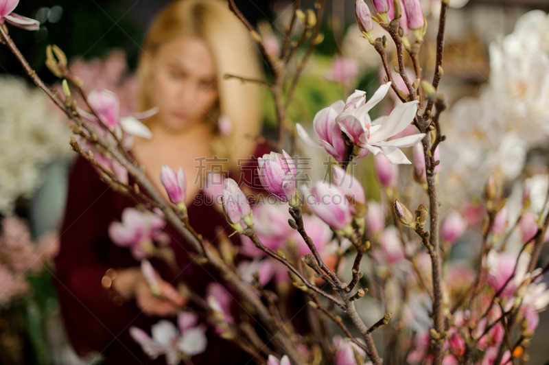 枝,自然美,玉兰类,浪漫,芳香疗法,梦想,苹果花,户外,仅一个女人