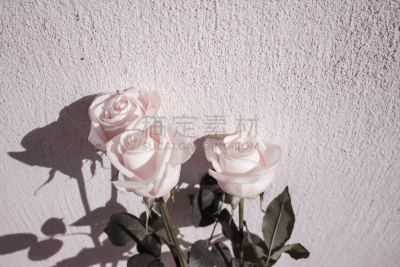 Rose.