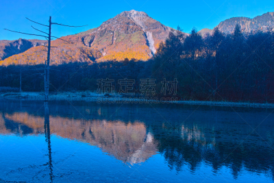 早晨,秋天,大正池,梓川,日本落叶松,飞驒山脉,日本阿尔卑斯山脉,落叶松,水,里山
