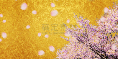 Cherry　blossoms