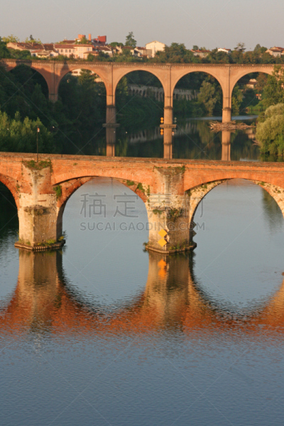 阿尔比市,河流,法国,塔尔纳省,桥,从上面看过去,古老的,垂直画幅,艺术家,褐色