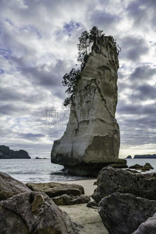 cathedral cove,岩石,沙岩,科罗曼德尔半岛,新西兰,尖峰,五只动物,垂直画幅,水,天空