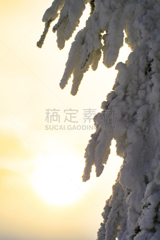 雪,橙色,冻结的,天空,史蒂文斯山口,山口,垂直画幅,无人,光亮,曙暮光