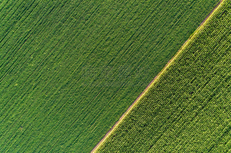 Agricultural fields from drone