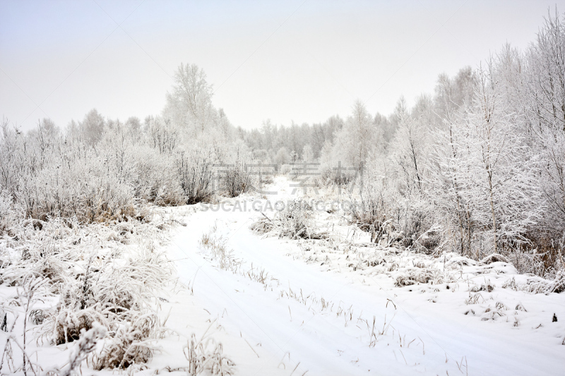 冬天,路,大风雪,小旅馆,森林,天空,雪,建筑设备,干的,光