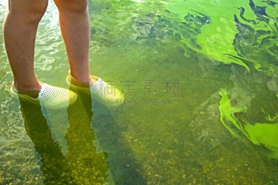 儿童,足,绿色,水,色彩鲜艳,成年的,人,男人,户外,夏天
