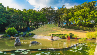 水,池塘,星和园,地形,杰温传统高球赛,莲藕,锦鲤,天空,灵性,海产