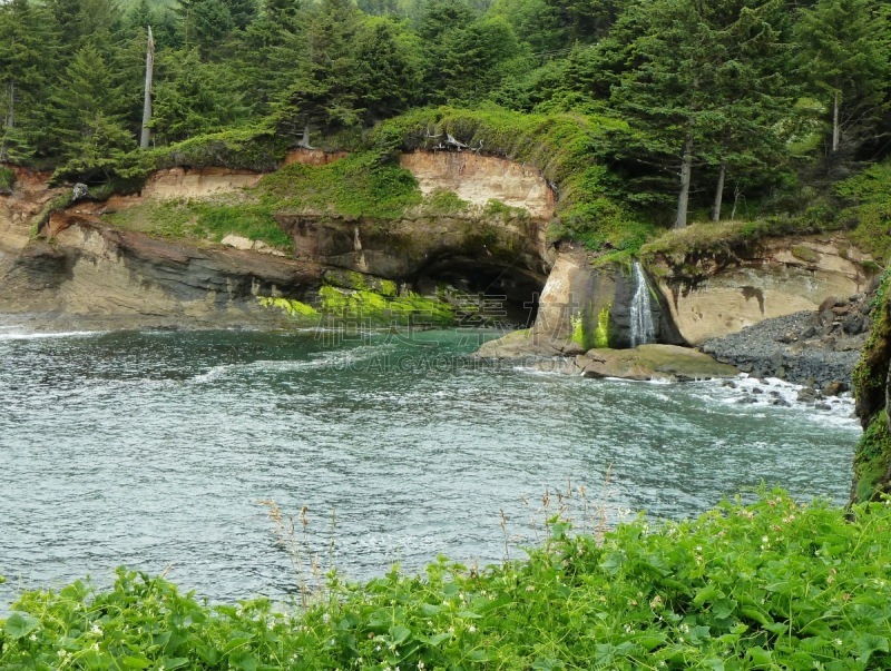 俄勒冈州,海岸线,俄勒冈郡,枝繁叶茂,奥勒冈海滨,自然美,波浪,植物,背景,瀑布