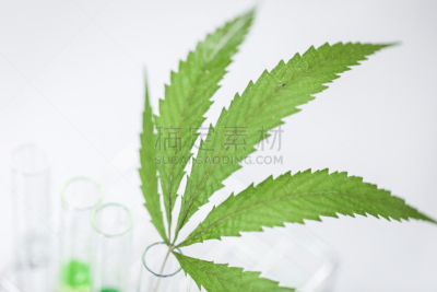 背景,实验室,绿色,化学制品,古老的,概念,科学,商务,健康保健