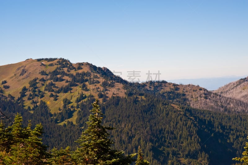 飓风山脊,奥林匹克山,自然,公园,草地,水平画幅,地形,山,无人,户外