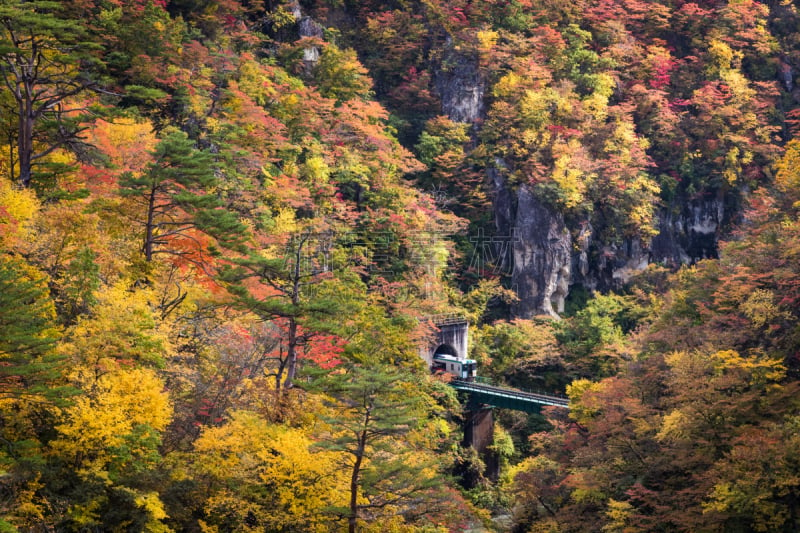 分界线,水平画幅,旅行者,户外,山,大崎市,东北片区,小溪,河流,叶子