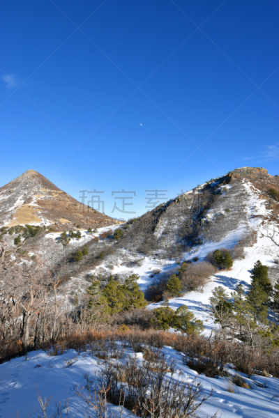 新墨西哥,冬天,白昼,2019,白山,寒冷,一月,云,树荫,雪