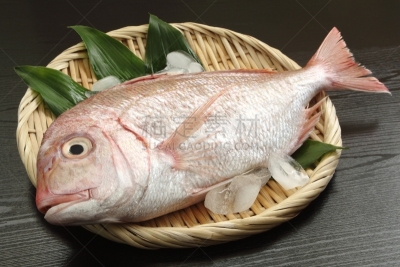 海鲷,滤器,冰块,红海鲷,竹筒,红笛鲷,寿司店,生鱼片,鱼类,生鱼片寿司