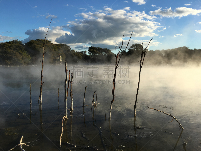 罗托鲁阿,新西兰,热,公园,池塘,地热保护区,海洋热液喷口,thermal park,mud pot,温泉池