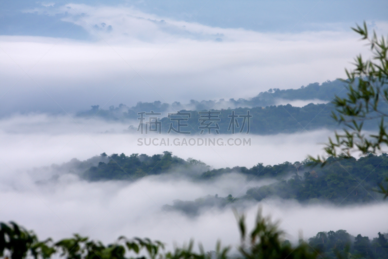 雾,黄山山脉,安徽省,自然,松树,水平画幅,地形,山,无人,户外