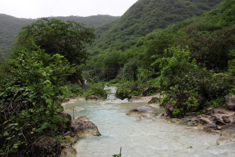 塞拉莱,阿曼,水,枝繁叶茂,瀑布,地形,绿山国家森林公园,度假胜地,小溪,美