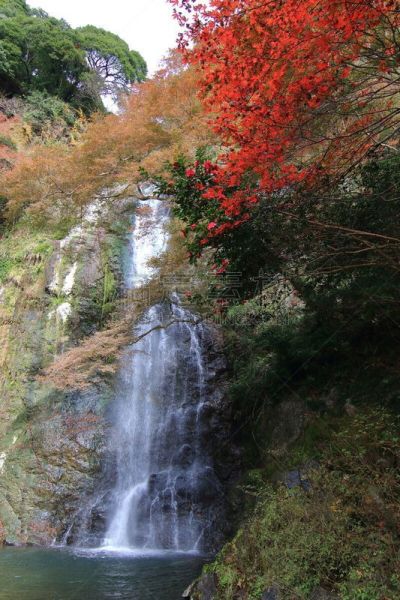 秋天,日本,大阪府,美浓,垂直画幅,地形,景观设计,瀑布,无人,枫树