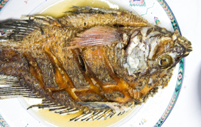 罗非鱼,餐具,自然,格子烤肉,水平画幅,膳食,海产,泰国,盘子,热