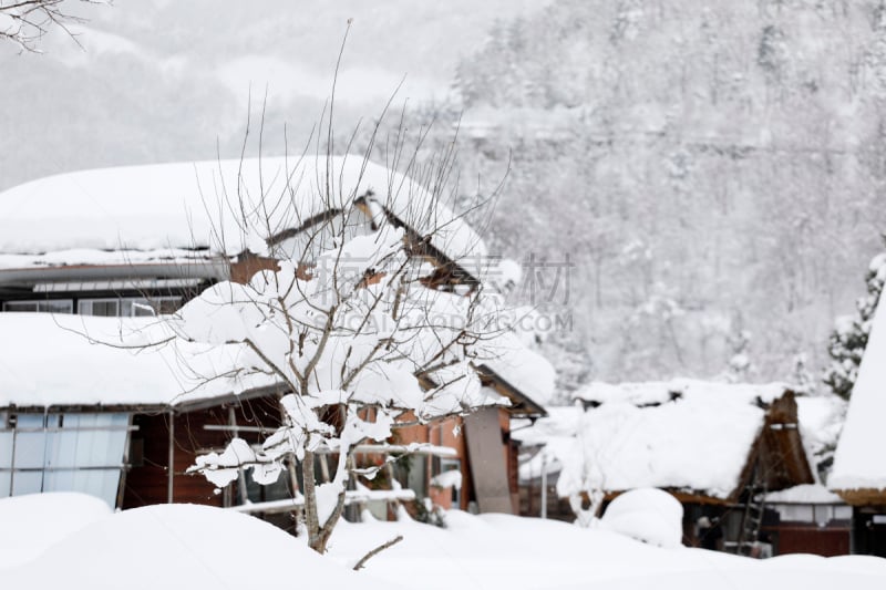 日本,房屋,白川乡,传统,合掌屋,五箇山,世界遗产,水平画幅,雪,曙暮光