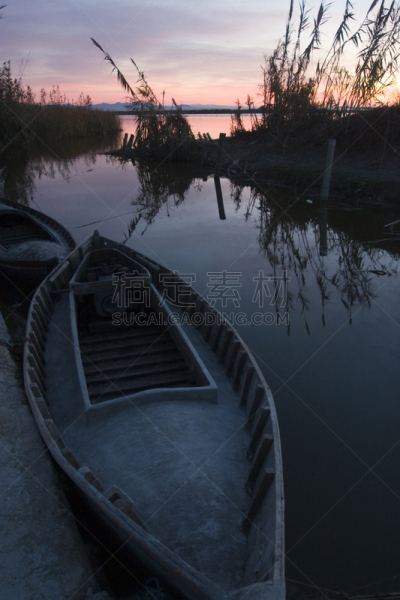 沼泽,洛杉矶,西班牙,巴伦西亚省,垂直画幅,水,夜晚,无人,曙暮光,夏天