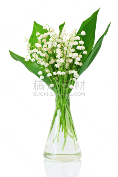 花束,铃兰,垂直画幅,水,美,芳香的,五月,轻的,玻璃,百合花