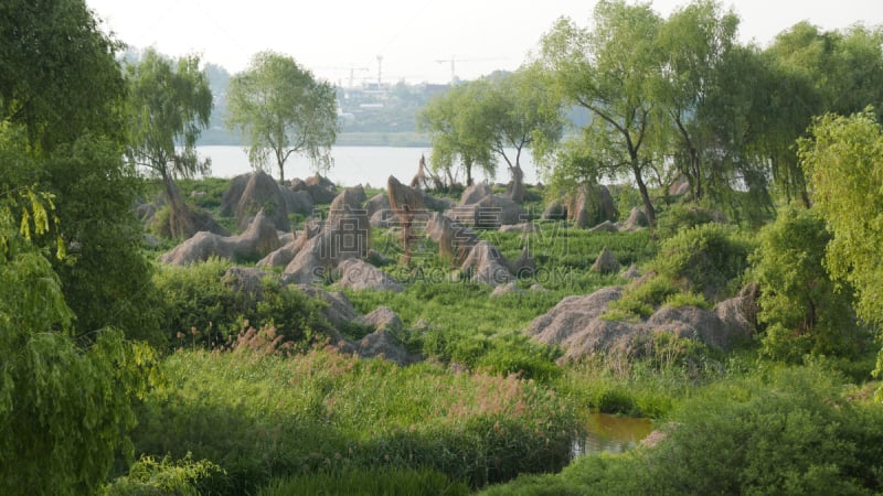 除草凿,草地,韩国,水平画幅,绿色,林区,树桩,无人,抽象,河流