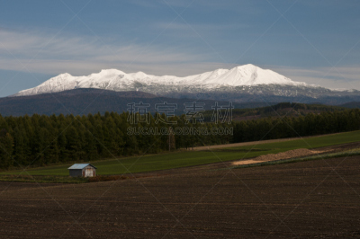 雪,秋天,山脉,田地,旭岳火山,日本落叶松,大雪山,大雪山国家公园,旭川,耕地