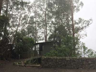 小屋,森林,古老的,休闲活动,水平画幅,枝繁叶茂,热带雨林,旅行者,户外,光