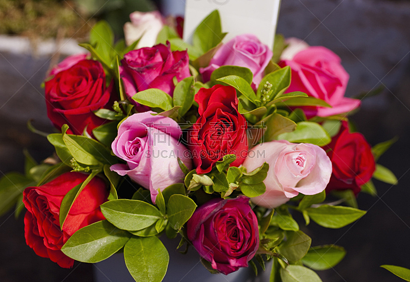 花束 花束图片 花束素材下载 稿定素材