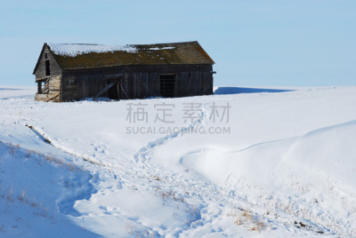 牛,酒店,脚印,水平画幅,风化的,地形,谷仓,木制,雪,无人
