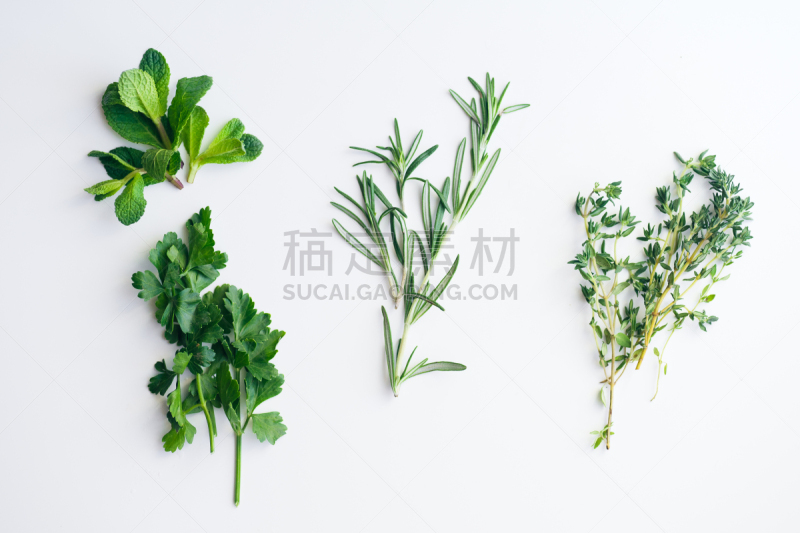 唇形科,清新,花束,白色背景,百里香,草本,迷迭香,欧芹,小的,分离着色