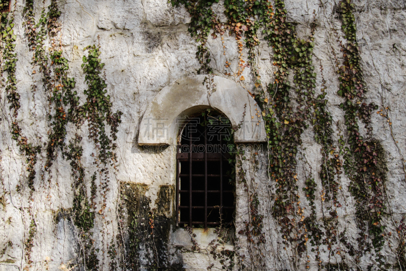 Window of the house