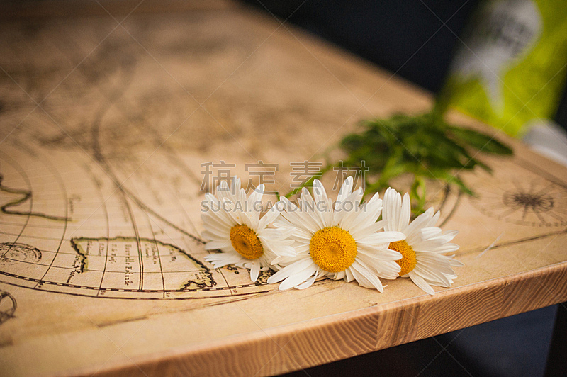 清新,木制,桌子,仅一朵花,甘菊,乡村风格,植物,背景,2015年,夏天