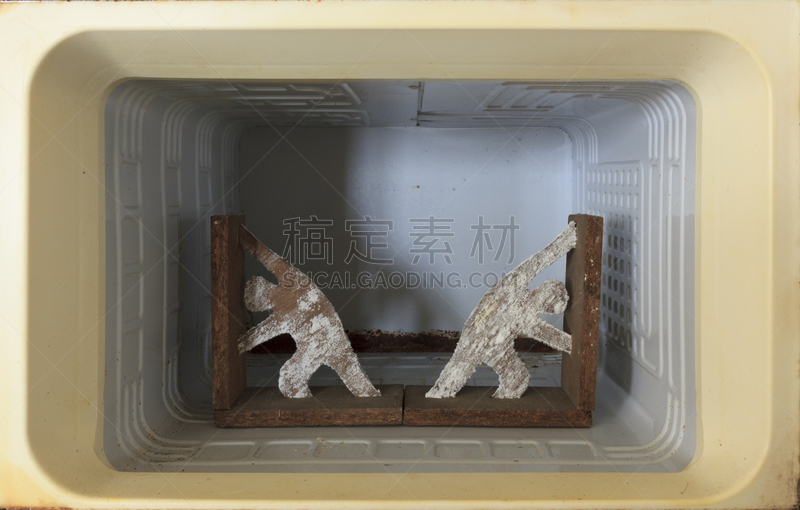 努力,冷,书挡,幽闭恐惧症,寒冷,水平画幅,木制,冰箱,冻结的,想法