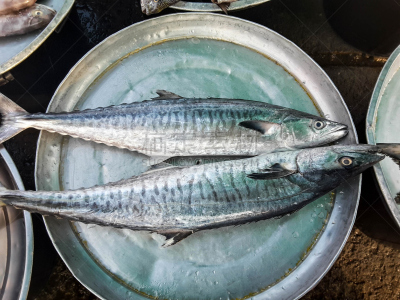 生食,海产,市场,鱼肉,剑尾鱼,水平画幅,超级市场,膳食,冰,特写