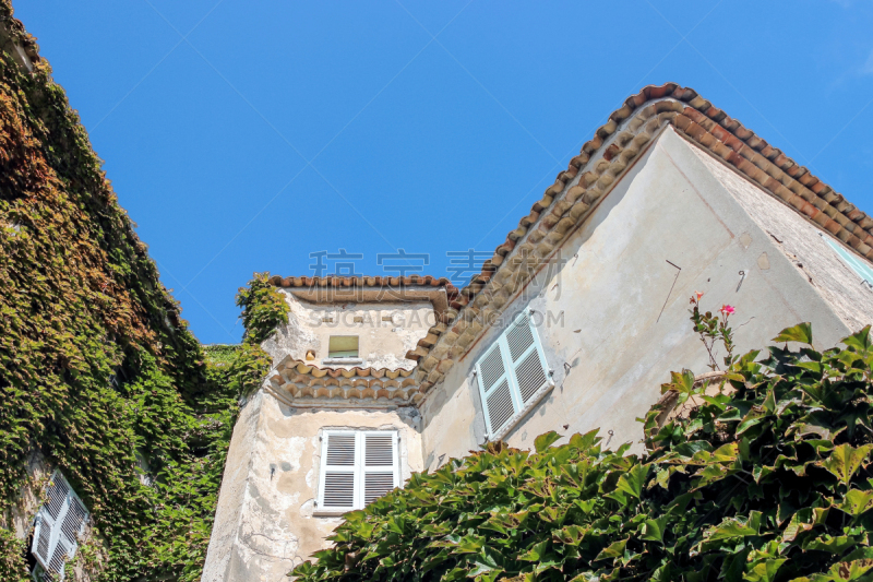 埃泽村,攀缘植物,植物群,建筑体,自然,簇叶从生的,法国,图像,叶子,无人