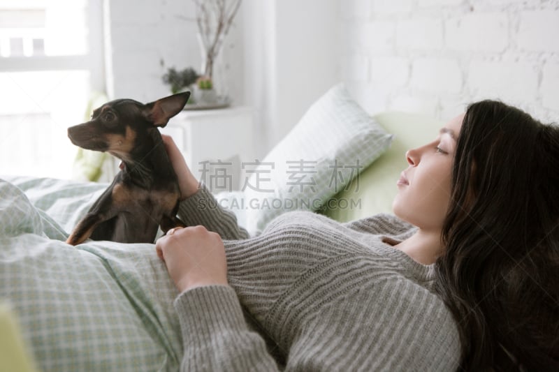 狗,女人,寂寞,toy terrier,沮丧,毯子,关系紧张,水平画幅,家庭生活,早晨