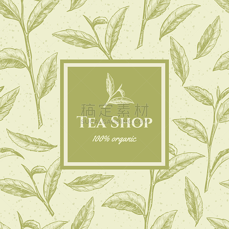 矢量,绿茶,边框,绘画插图,茶馆,热饮,古老的,商店,饮料,草