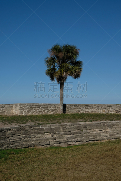 圣马科斯堡国家保护区,天空,留白,草,棕榈树,美国,蓝色,住宅房间,云