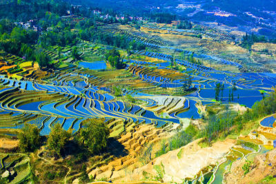 元阳,梯田,云南省,中国,哈尼族,昆明,露台别墅,水稻梯田,雕塑家,锥形帽