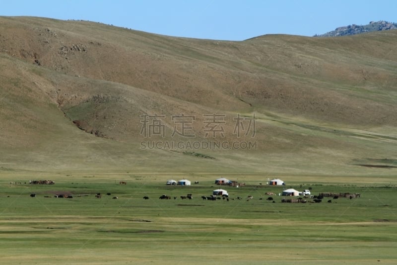 亚洲,自然,自然界,中亚,丘陵起伏地形,鄂尔浑河谷,风景,图像,柳树,宽的