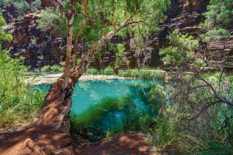 西澳大利亚,dales gorge,徒步旅行,橙色,壁纸,草,巨石,小路,红岩石,沙漠