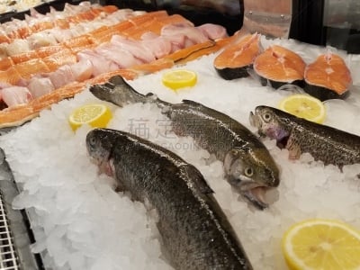 肉片,鱼肉,鳕鱼,红色,海产,清新,健康食物,饮食,食品,图像
