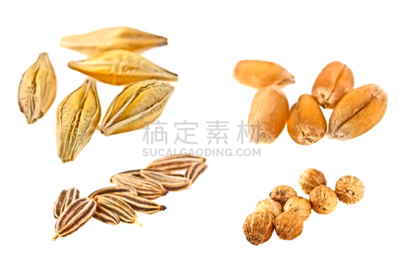 种子,白色背景,反差,咖喱,南瓜子,配方,马萨拉,尖利,夏天,干的
