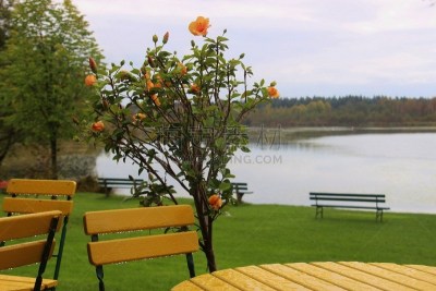 Table and chairs on the Lido of  Ibm lake, or Heratinger lake, in Upper Austria, in autumn. It’s rainy weather. A nature reserve next to the Ibm moorland. Ibm, Upper Austria, Europe.