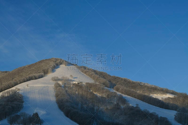 日本,澳大利亚阿尔卑士山脉,寒冷,雪板,长野县,运动,环境,雪,天气,滑雪板