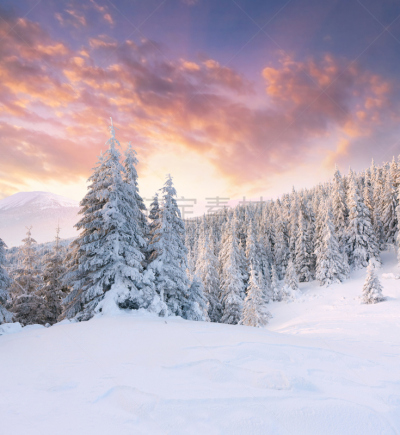 冬天,山,地形,自然美,垂直画幅,天空,雪,日出