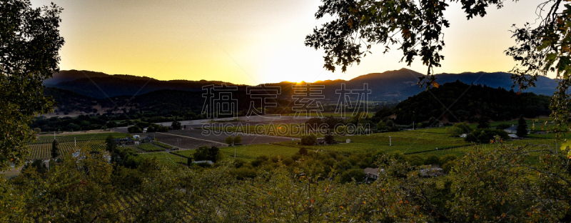 葡萄园,葡萄酒厂,水平画幅,夏天,户外,乡村风格,那帕谷,叶状图案,冬天,风景