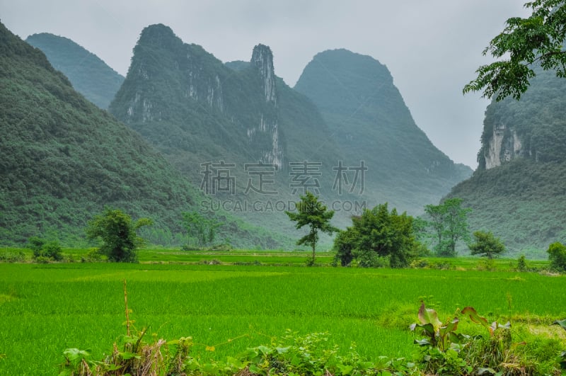 自然美,风景,喀斯特,泉,美,水平画幅,山,无人,夏天,稻田