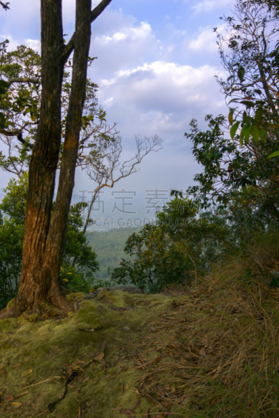 视角,自然,垂直画幅,山,无人,夏天,泰国,植物,亚洲,2015年